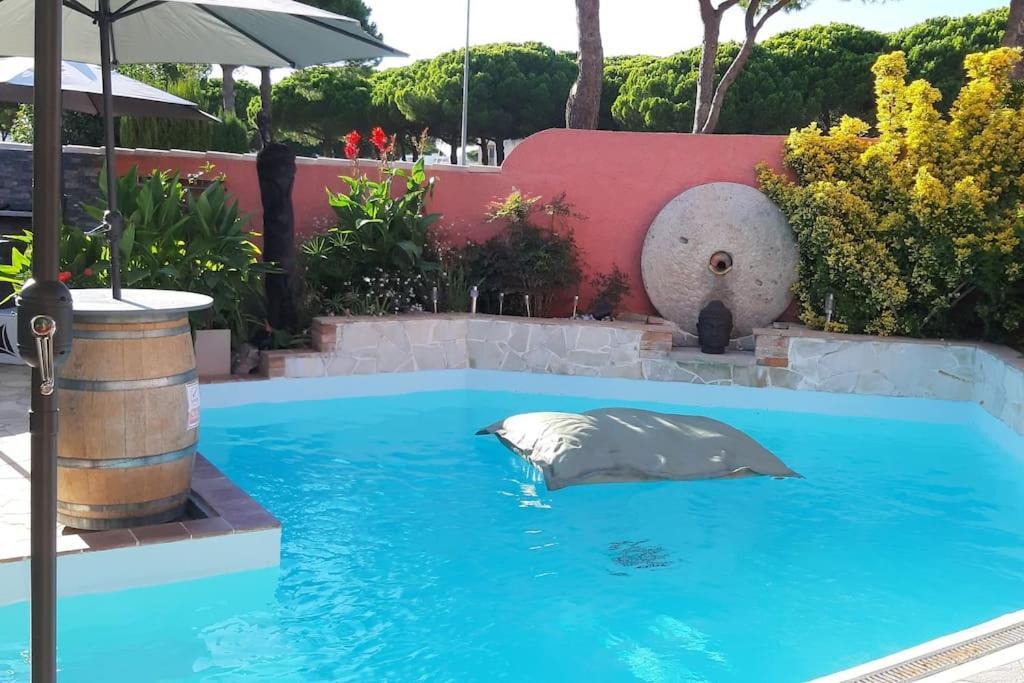 Hebergement Insolite Studio Grau Du Roi Mas Des Marines Piscine Le Grau-du-Roi Bagian luar foto